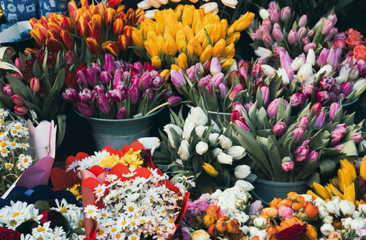Florist Strathmore: Stylish Flower Arrangements for Every Occasion