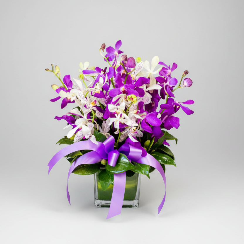 Colourful Orchids in Glass Vase