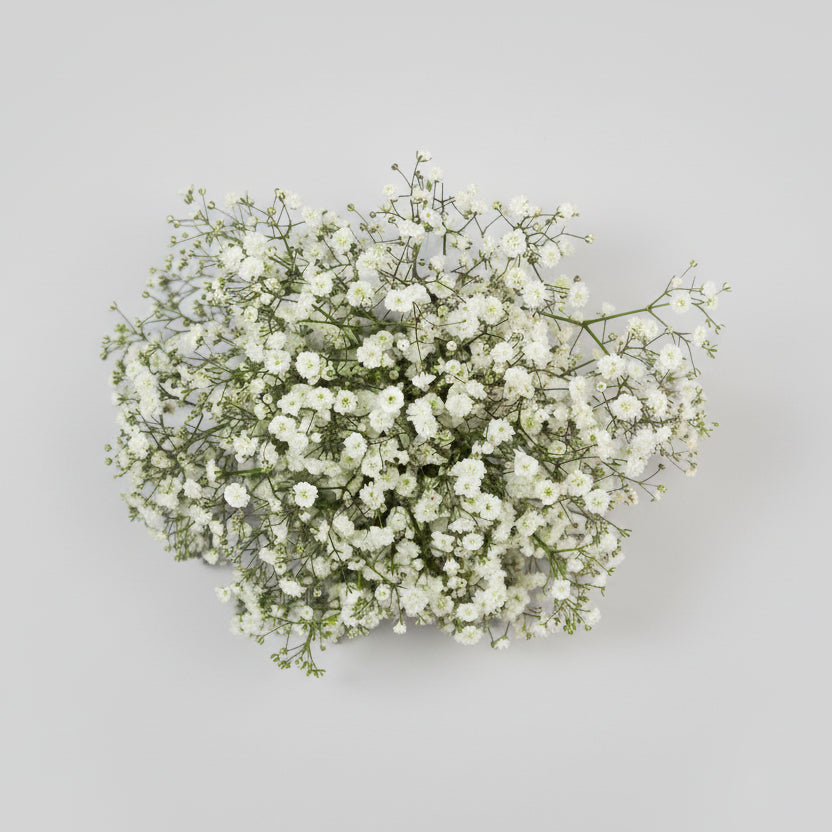 Baby Breath Flower Girl