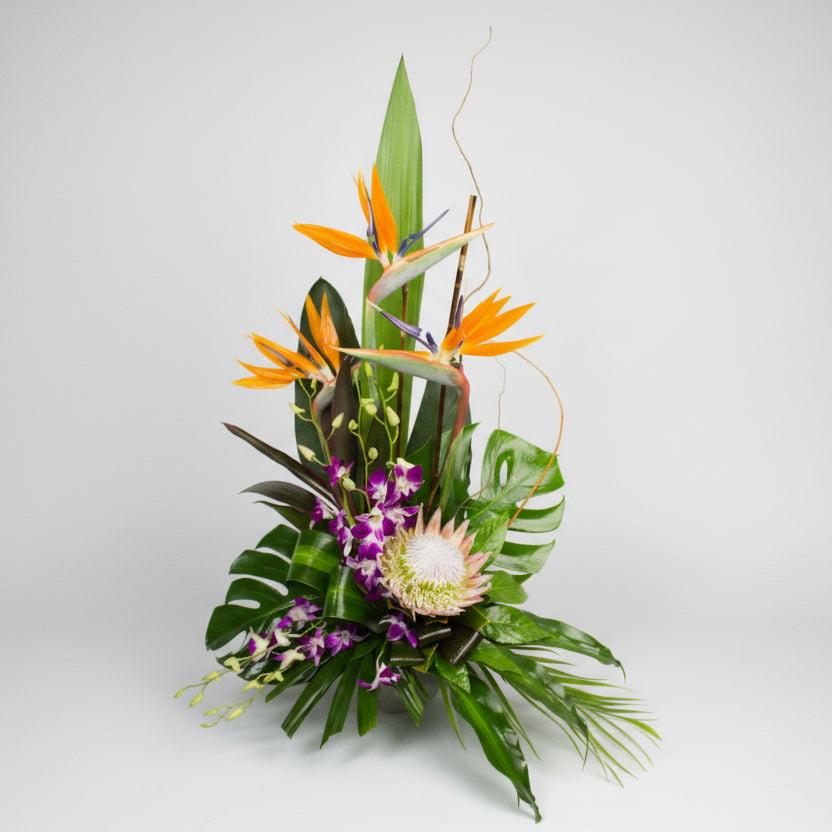 Bird of Paradise Arrangement