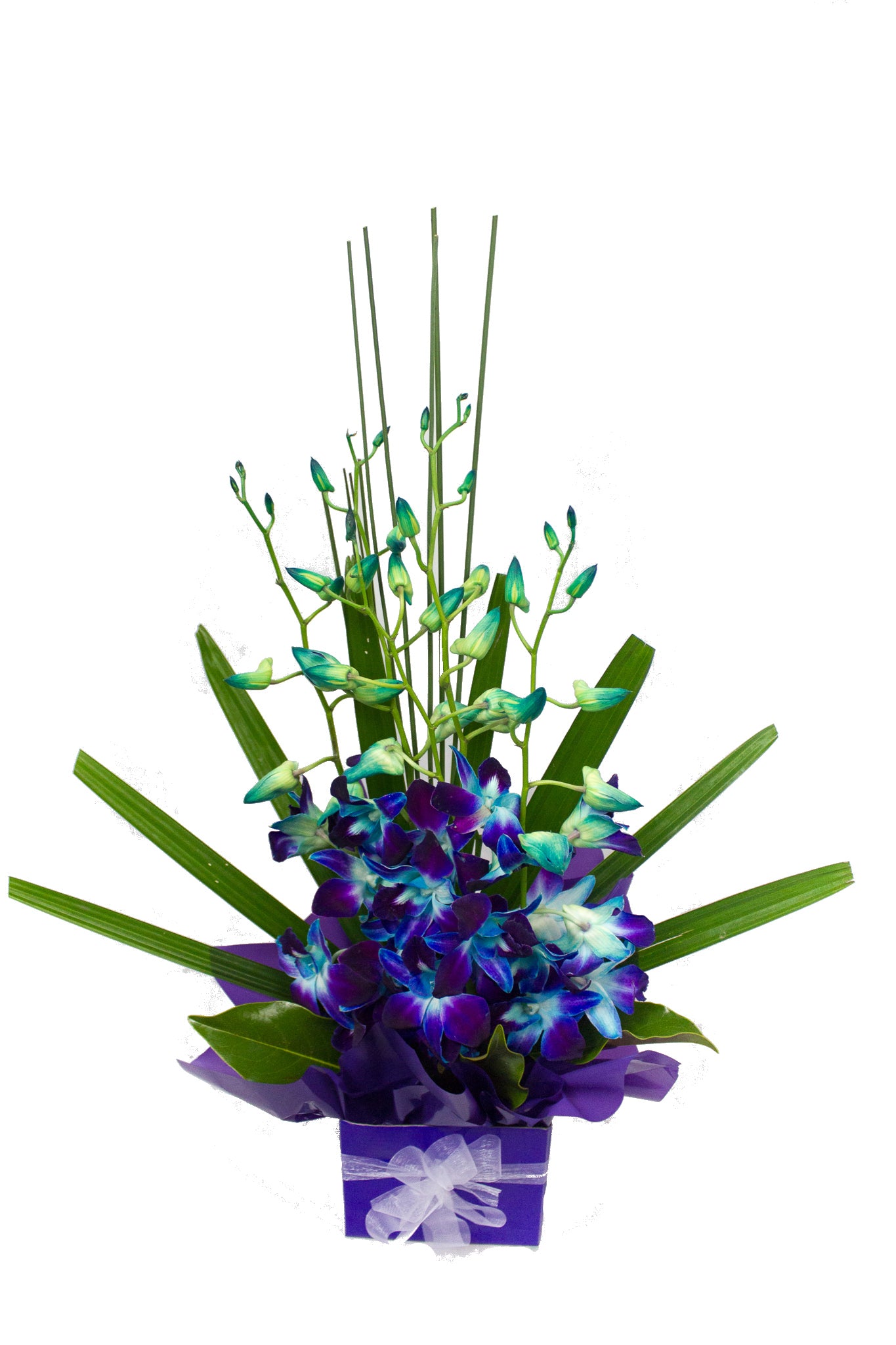 Gorgeous Blue Mini Box