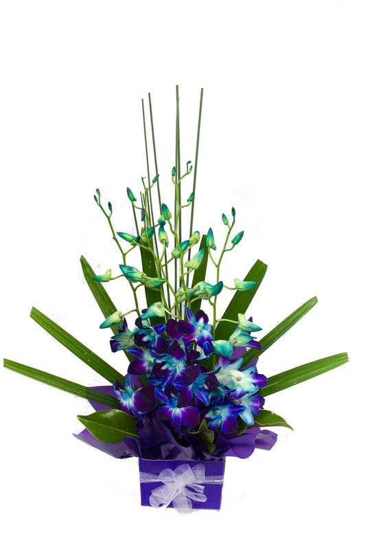 Gorgeous Blue Mini Box