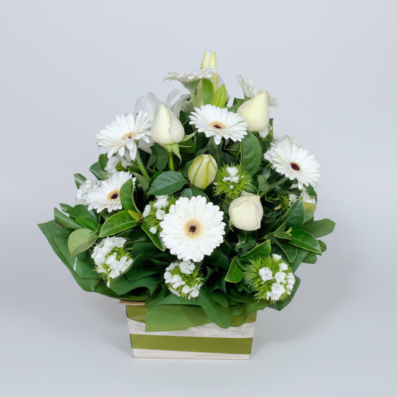 White Mid Box Arrangement