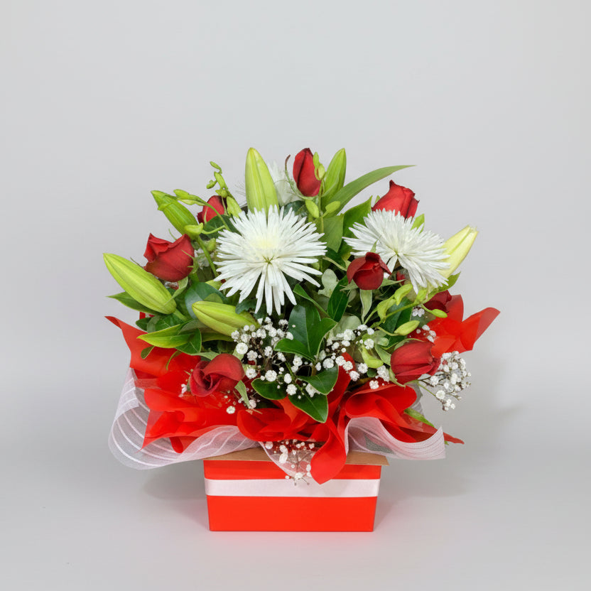 Mid Box in Red & White