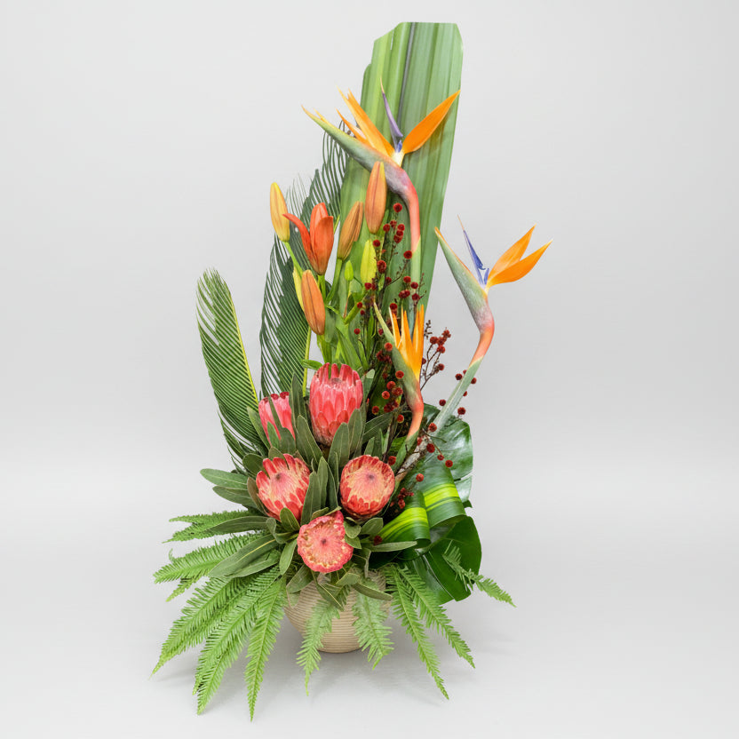 Modern Natives Arrangement