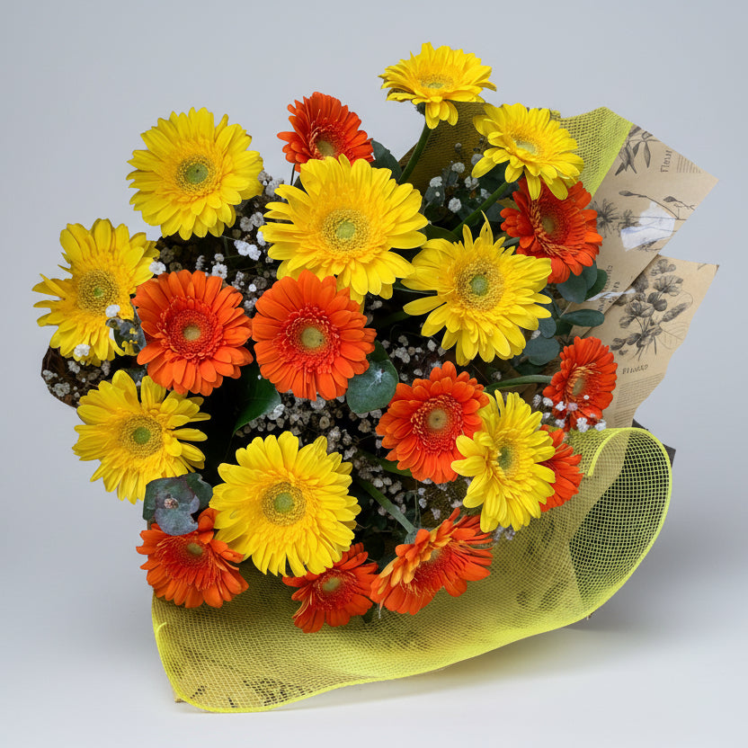 Mixed Gerbera Bouquet