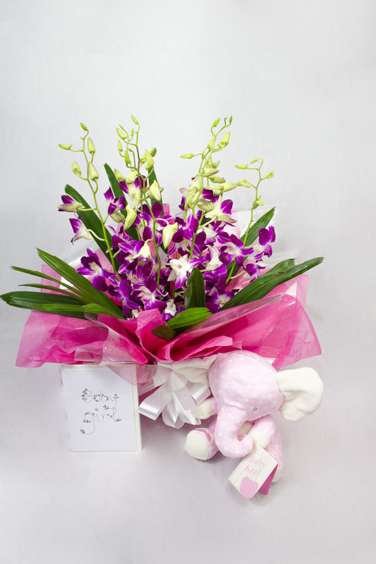 Princess - New Baby Hamper