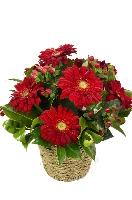 Sweet Red Flower Basket