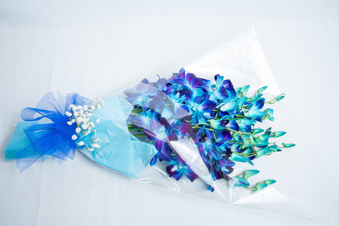 How to Choose Pet-Safe Flowers for Homes in Essendon