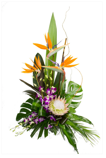 How To Choose The Perfect Winter Flowers In Melbourne?