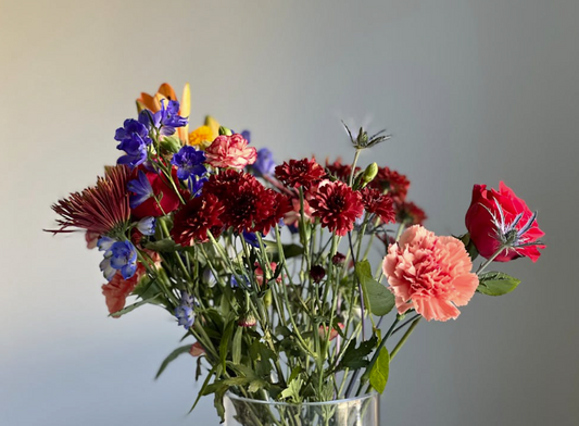 Seasonal Flowers by Month in Australia: A Local Florist's Complete Guide to Fresh Blooms All Year