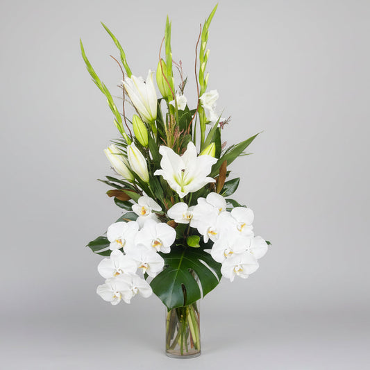 Funeral Flowers in Melbourne - Living Flowers