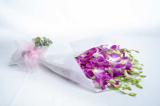 Orchid Purple