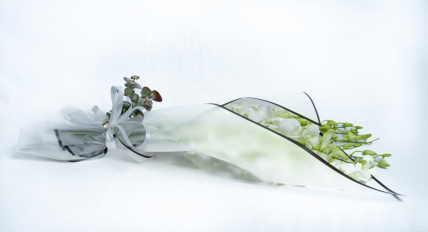 White Orchid