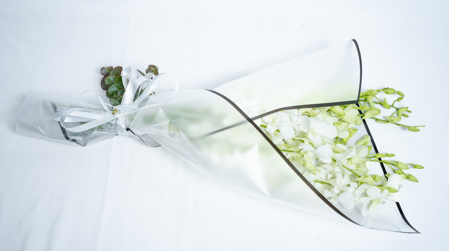 White Orchid