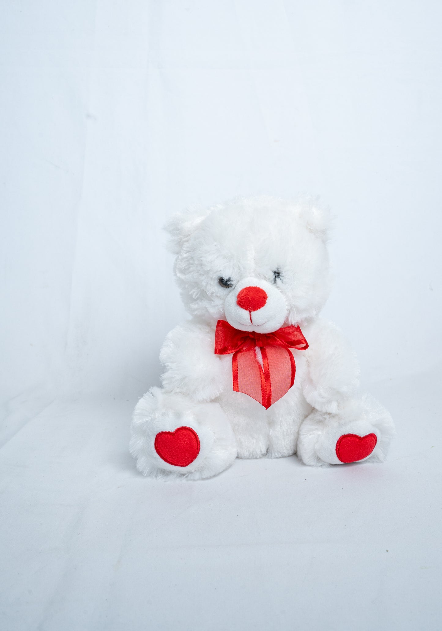 Fluffy Teddy Bear