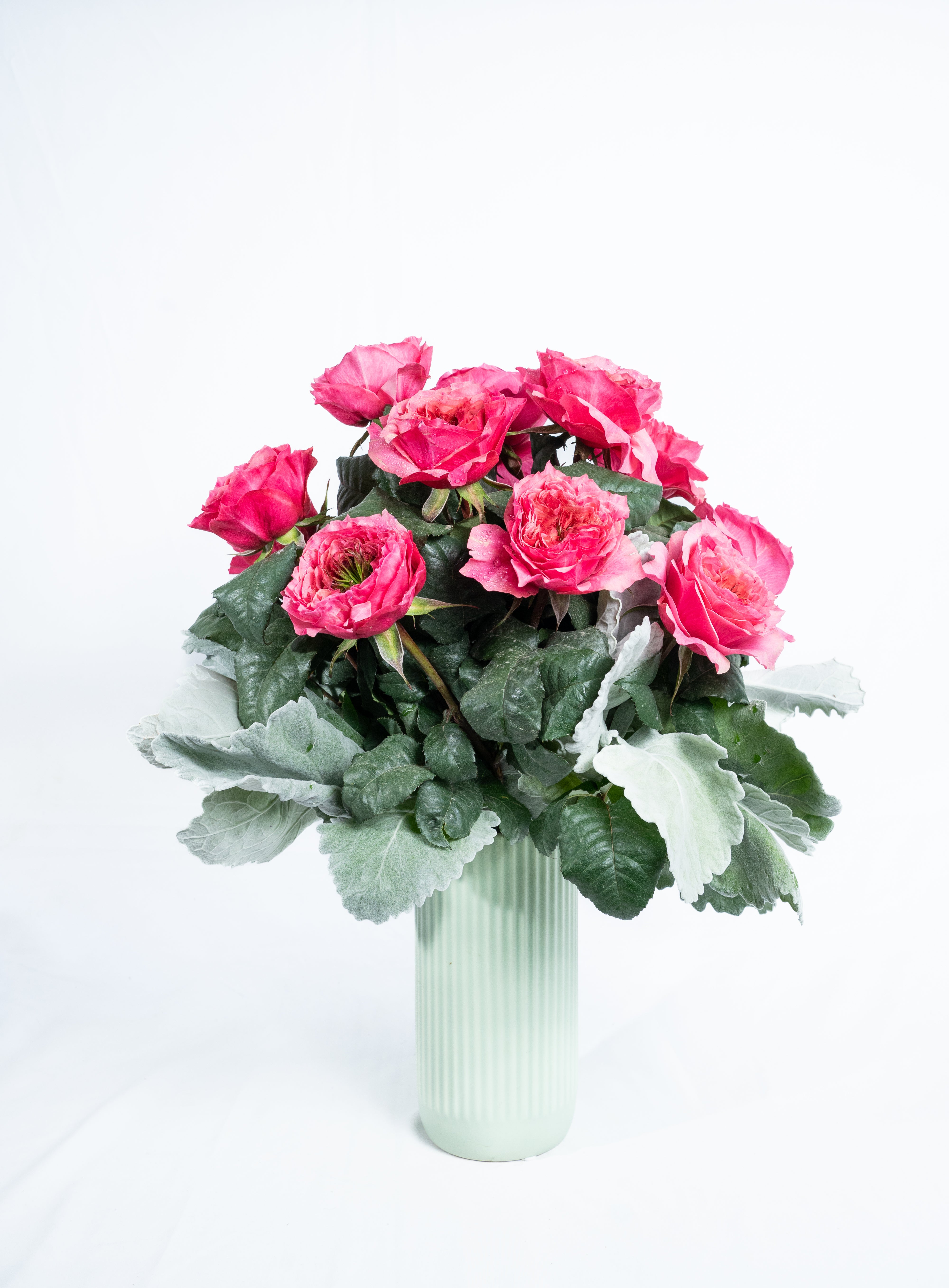 Pink Roses Product Premium Pink Rose