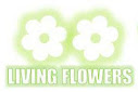 location logo