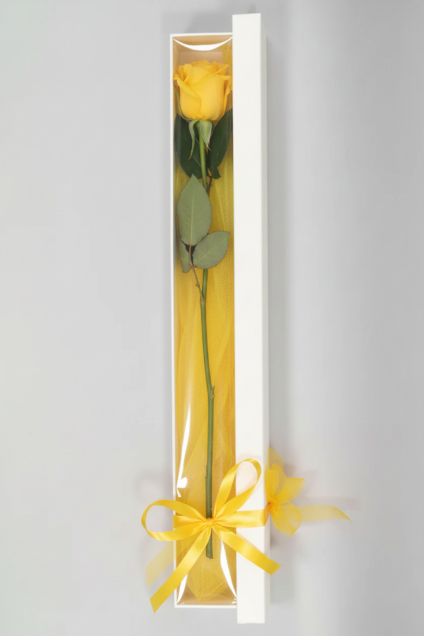 Long Stem Yellow Roses in Box