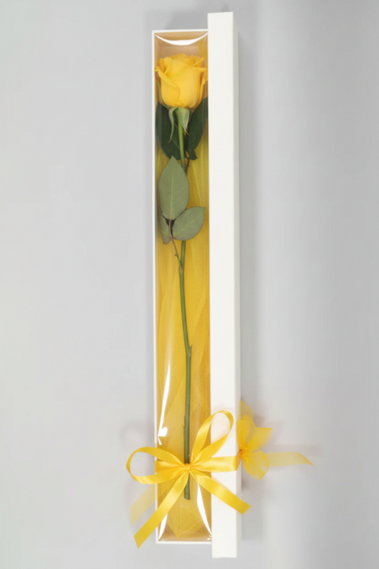 Long Stem Yellow Roses in Box