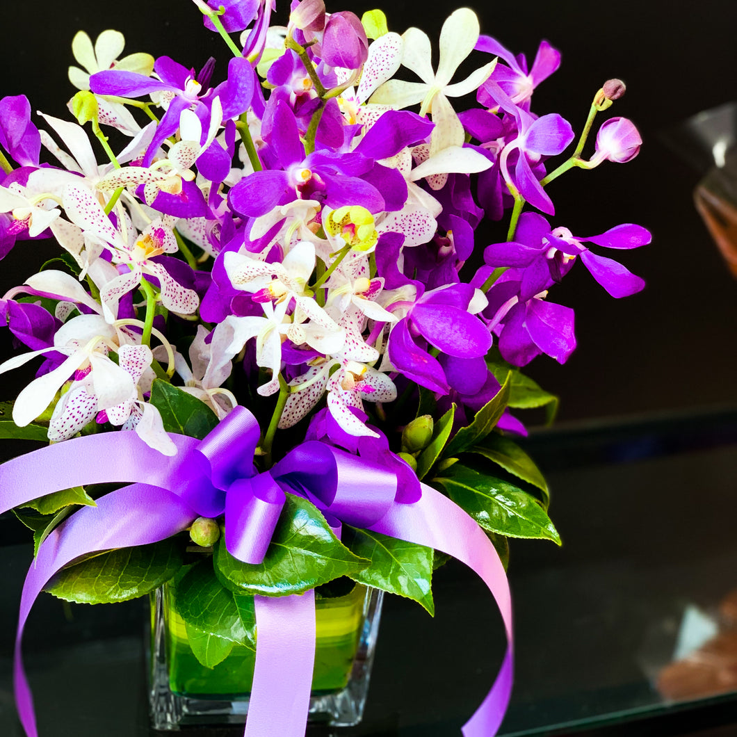 Colourful orchids in glass vase