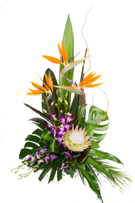 Bird of Paradise Arrangement