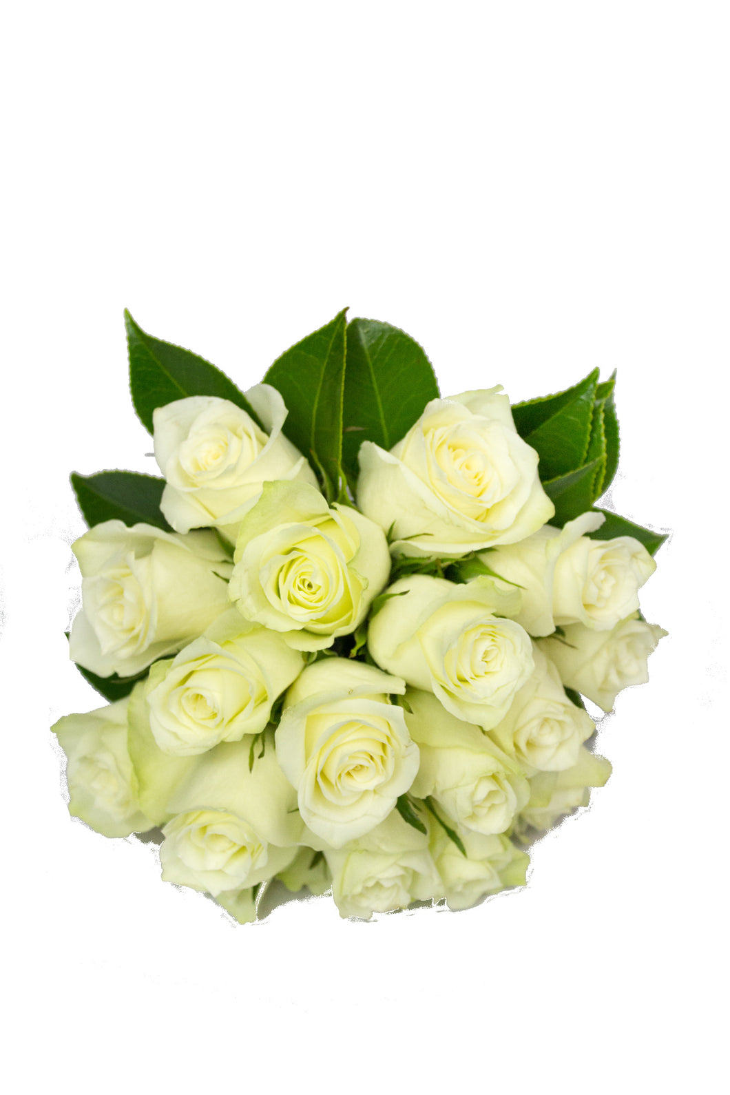 Bride Bouquet With Premium Rose 