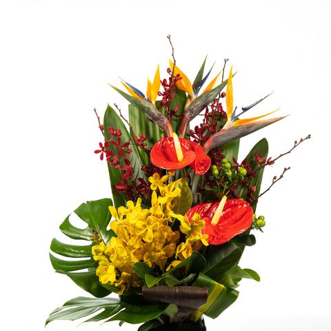 Tropical arrangement in ceramic pot