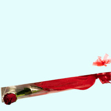 Load image into Gallery viewer, Red long Stem Roses
