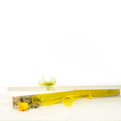 Long stem  yellow roses in box
