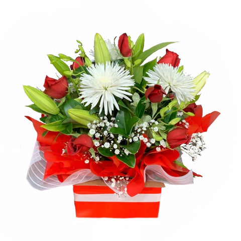 Mid Box in Red&White
