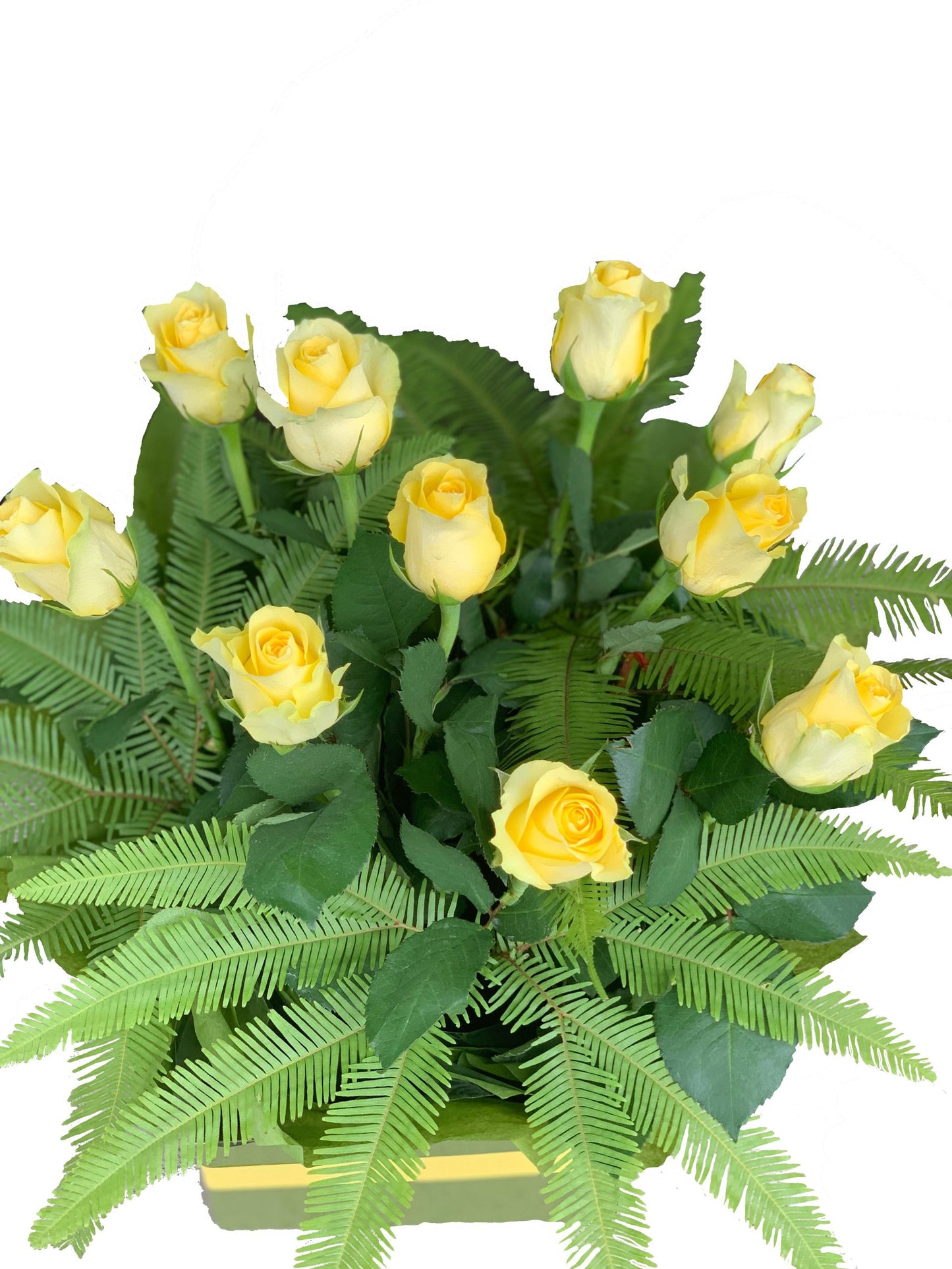 Yellow Roses In Box