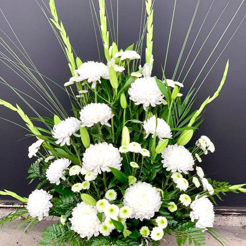 Purity arrangement